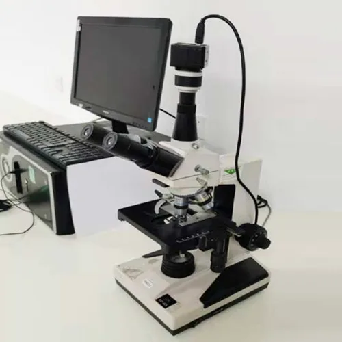 Micreascóp Leictreonaic